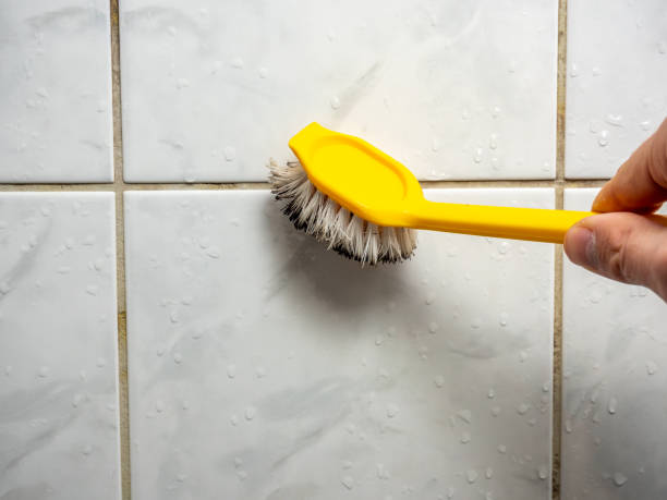 Mold Removal Process in Ashland, WI