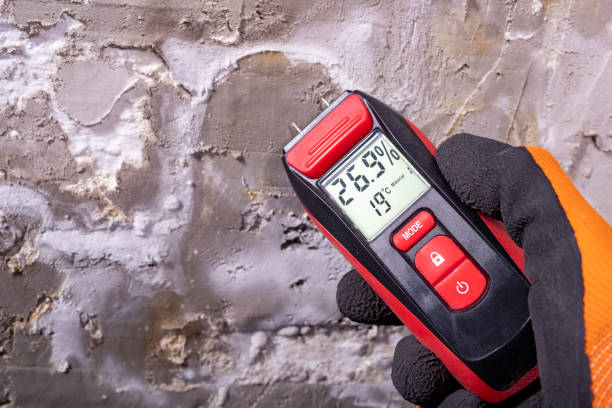Office Mold Removal Services in Ashland, WI