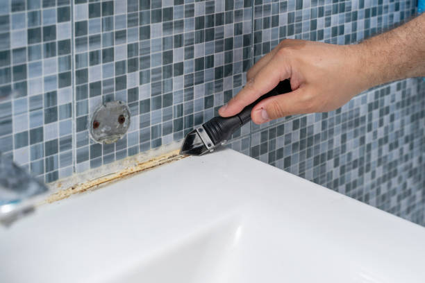 Best Mold Testing  in Ashland, WI